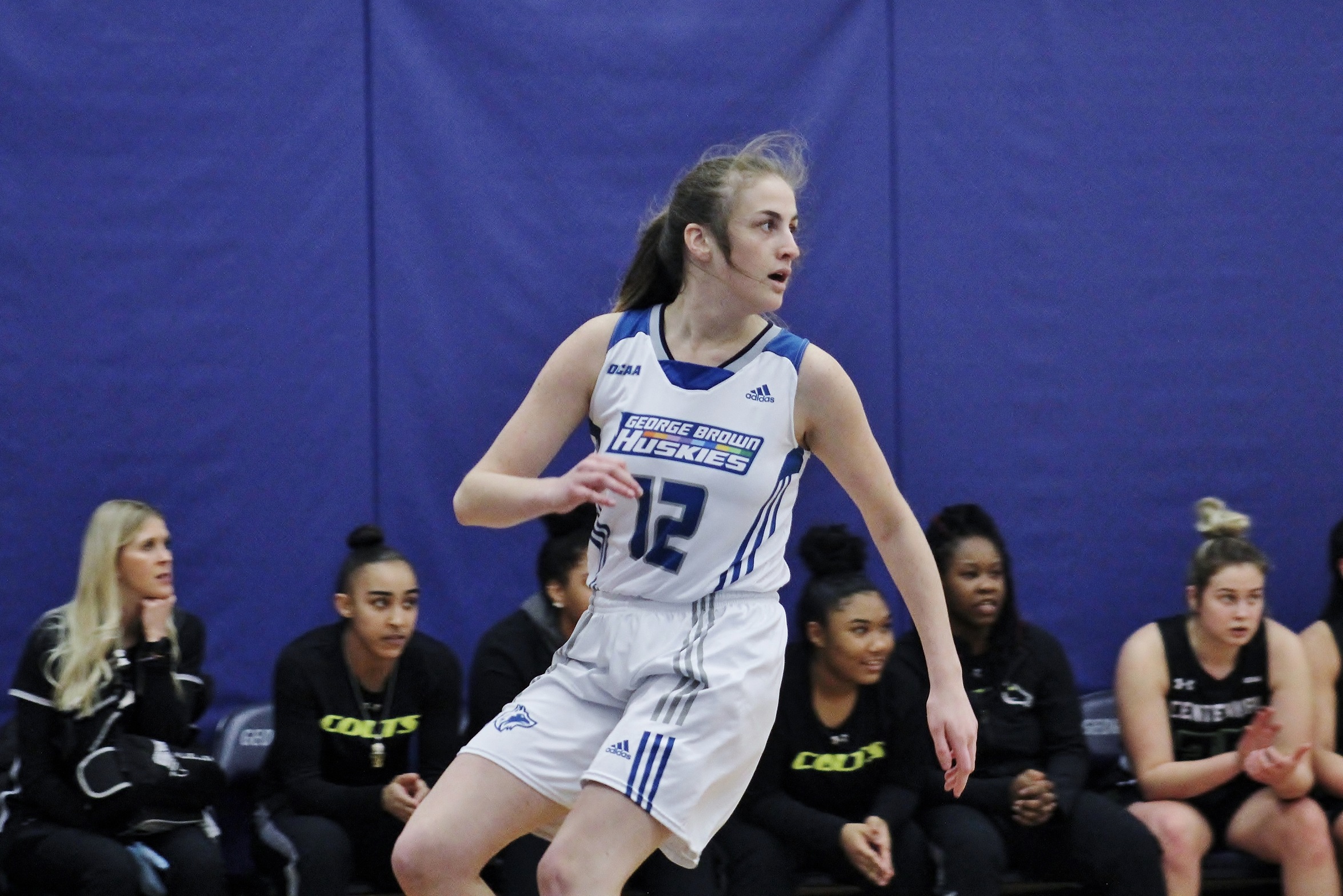 HUSKIES BASKETBALL, VOLLEYBALL ALL IN ACTION ON SUPER GAME DAY THIS SATURDAY
