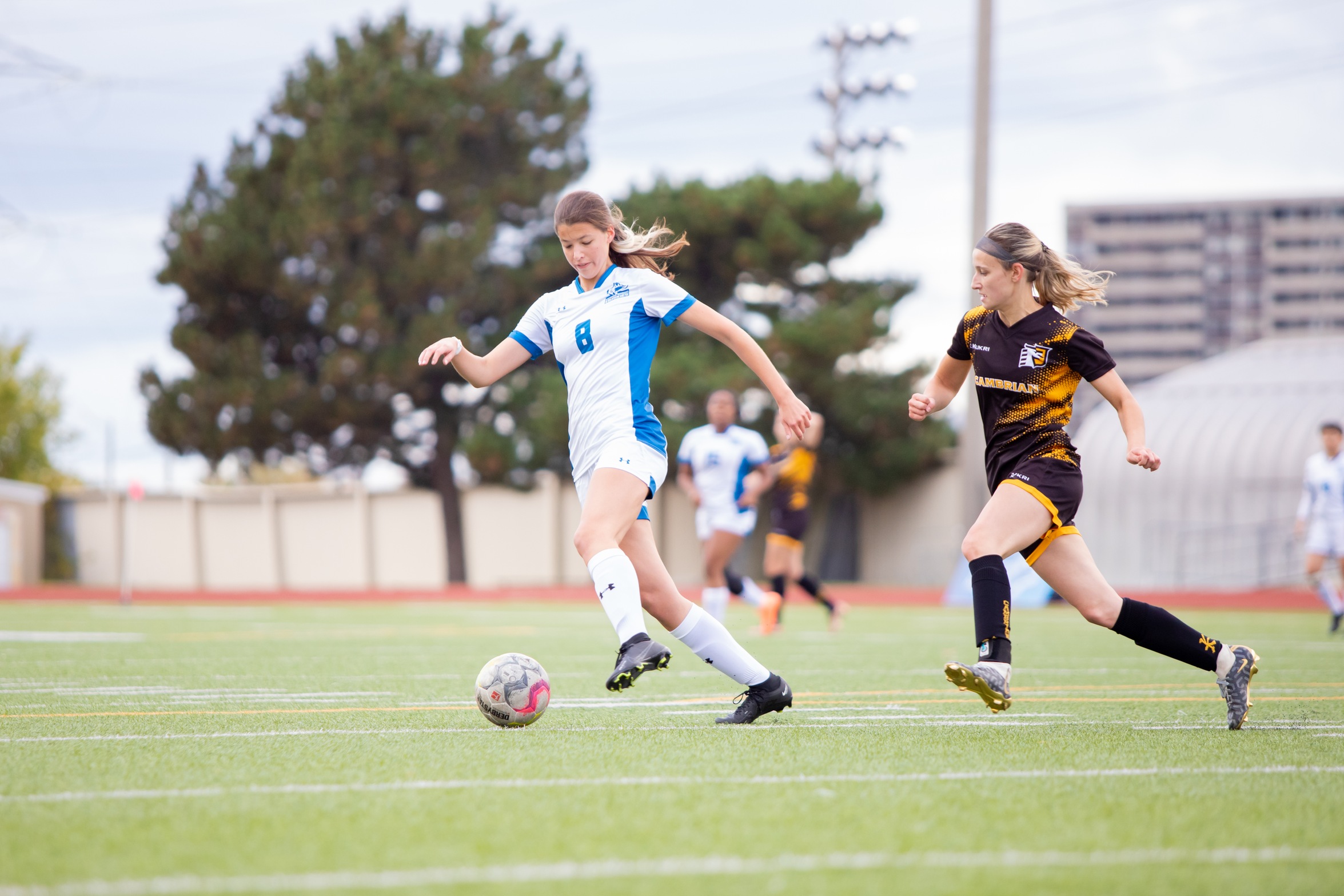 HUSKIES EDGED BY CAMBRIAN