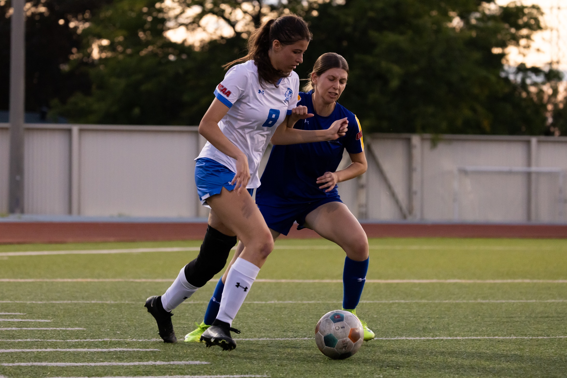 HUSKIES LOSE TO LAKEHEAD