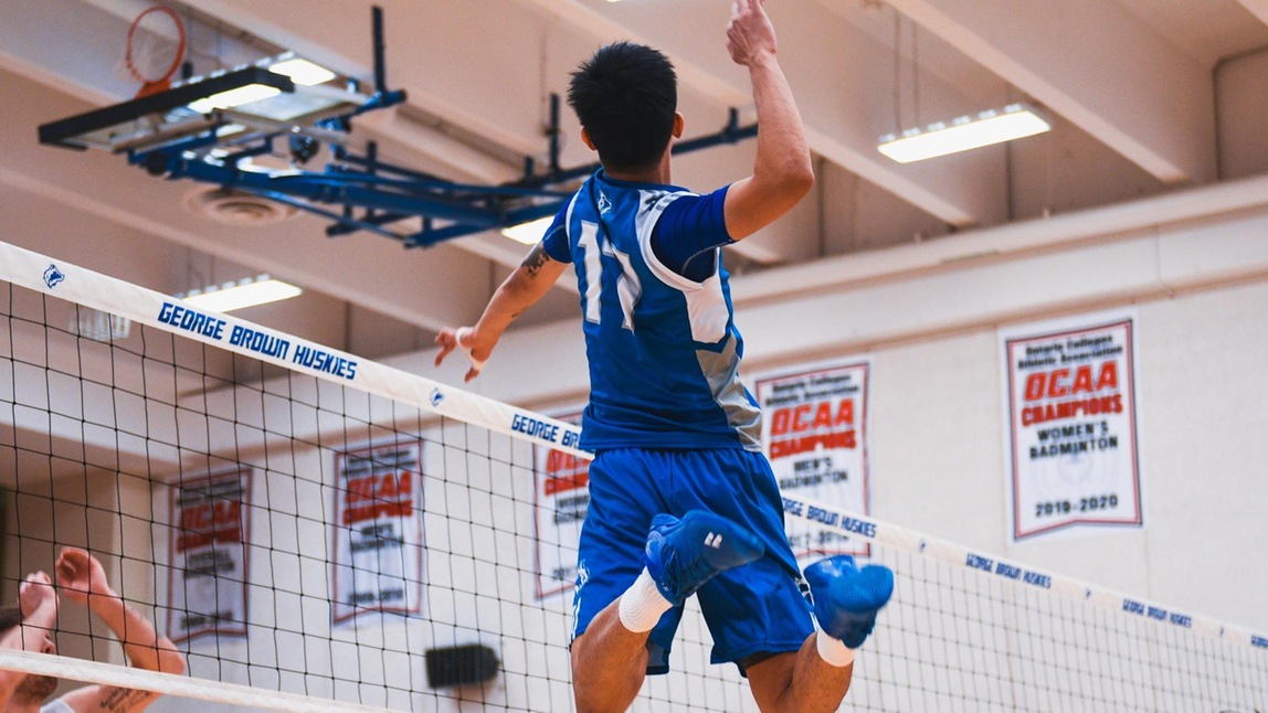 STING TAKE DOWN HUSKIES