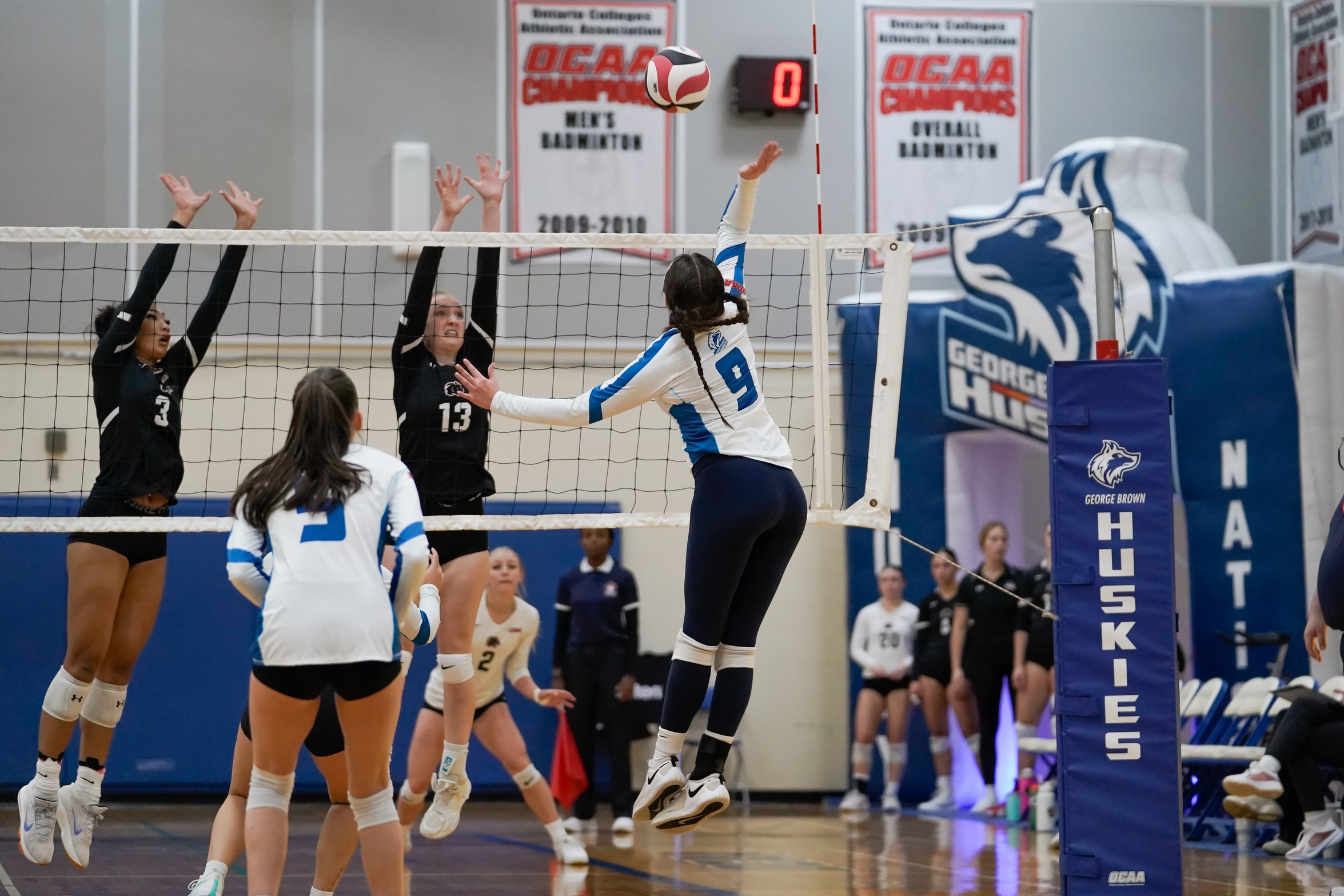 HUSKIES FALL CENTENNIAL