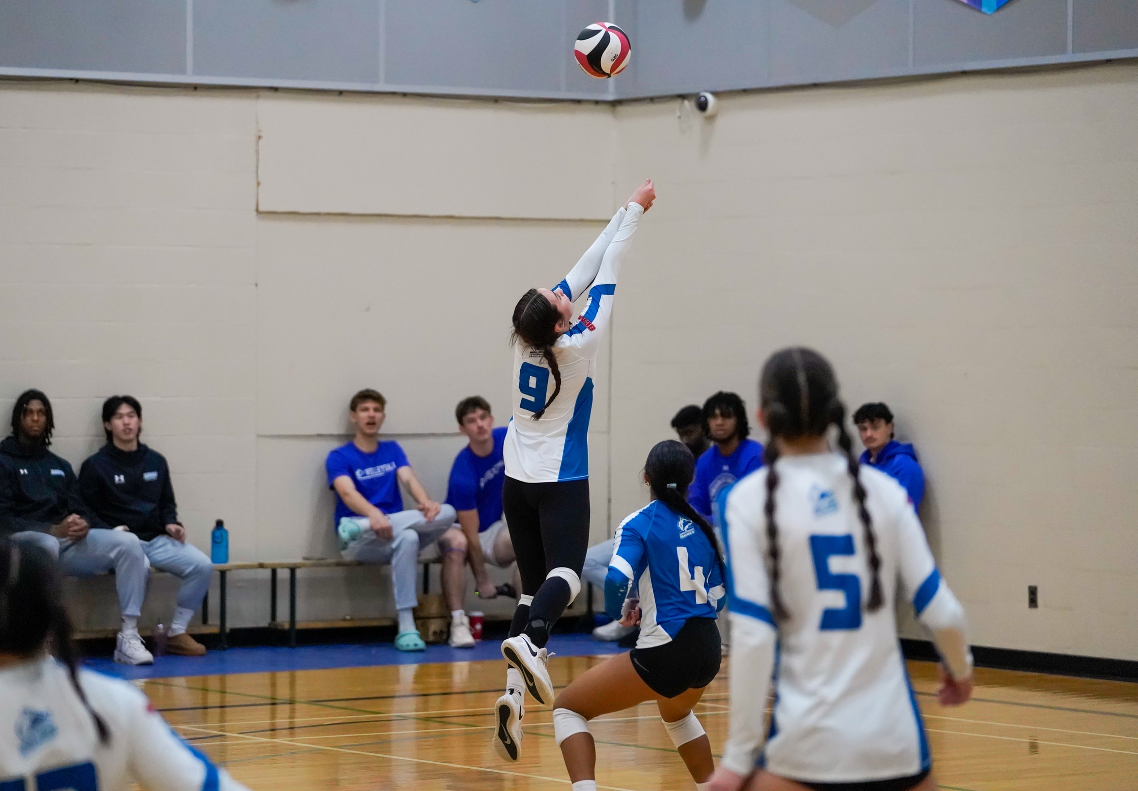 HUSKIES FALL TO LA CIT&Eacute;
