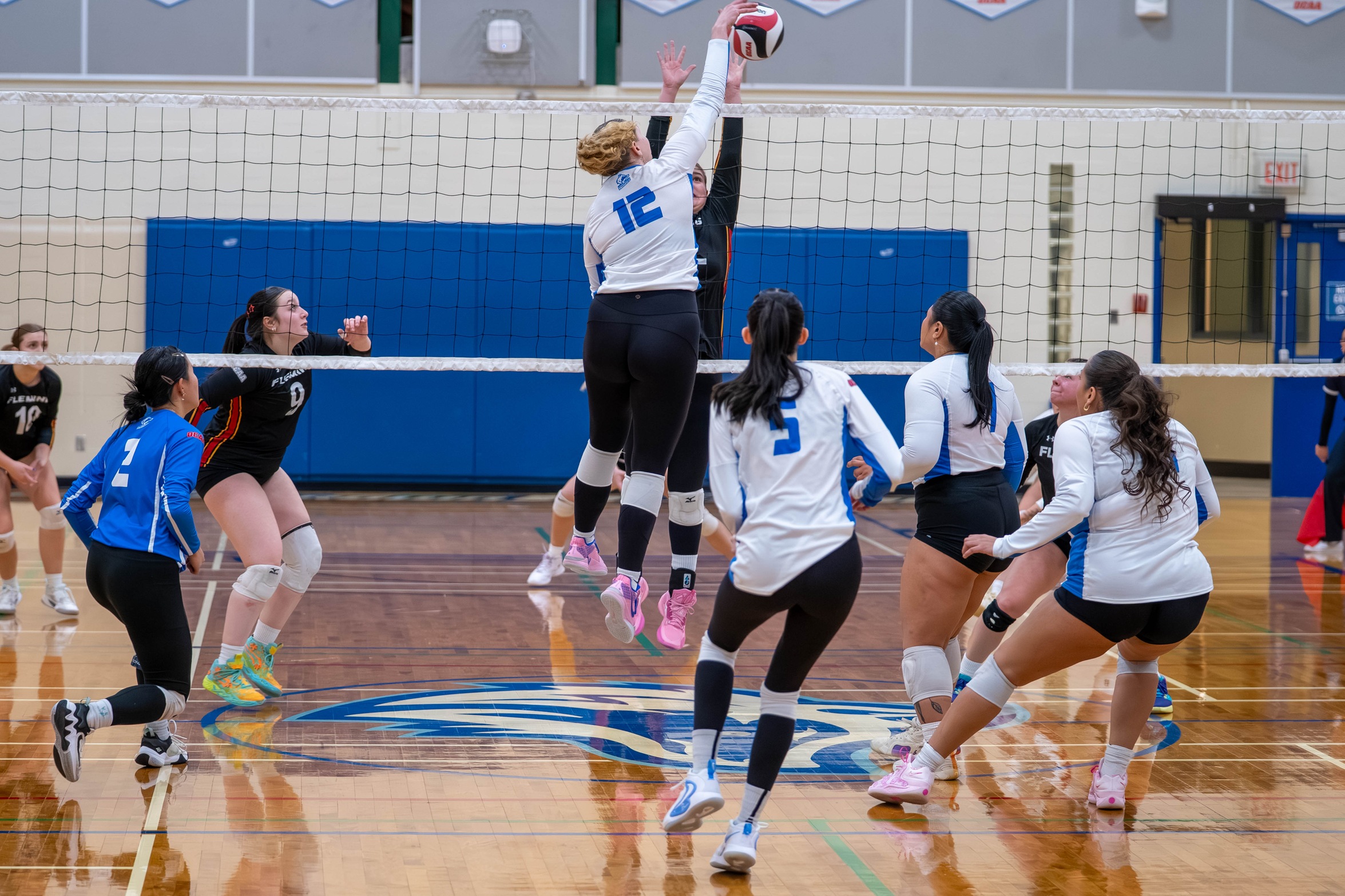 HUSKIES SWEEP FLEMING